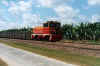 bw20.jpg (92622 bytes)