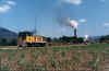 bw24.jpg (97620 bytes)